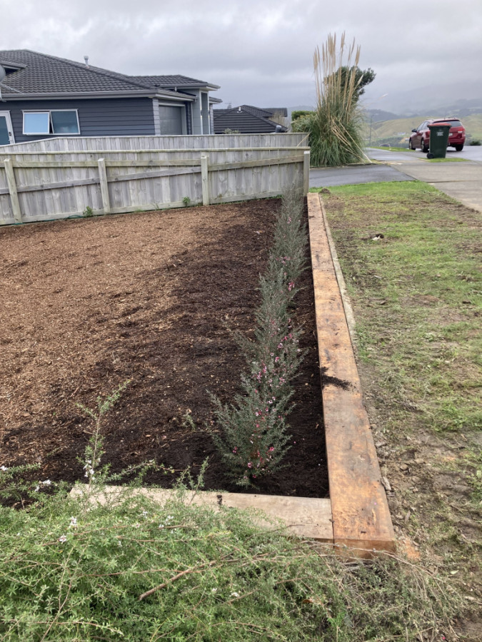 installed Mac edging and plants