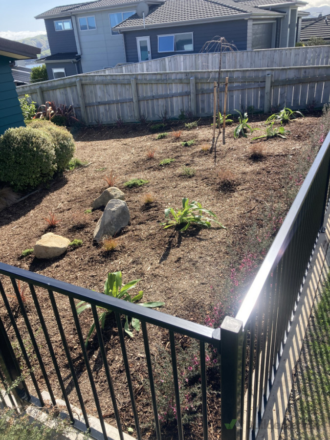 plants planted and boulders placed in garden