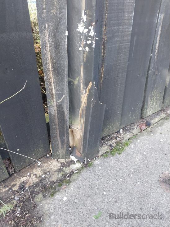 Fence repair/replacement (#1109450) | Builderscrack