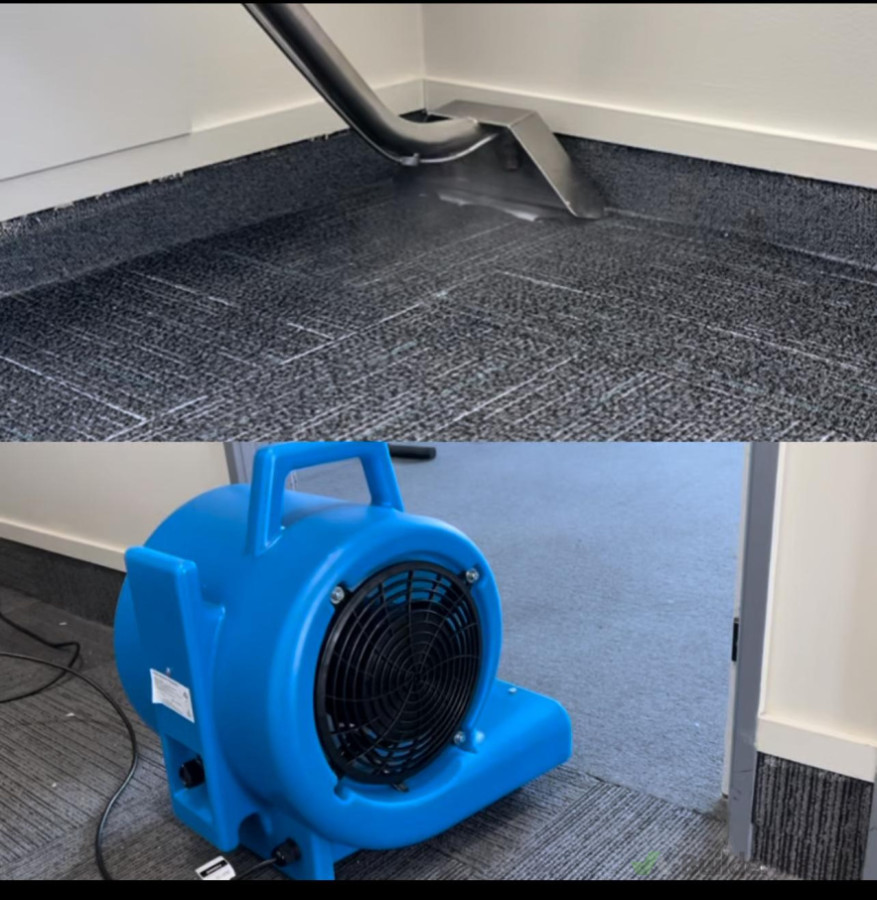 Deep Carpet Cleaning with Quick Dry