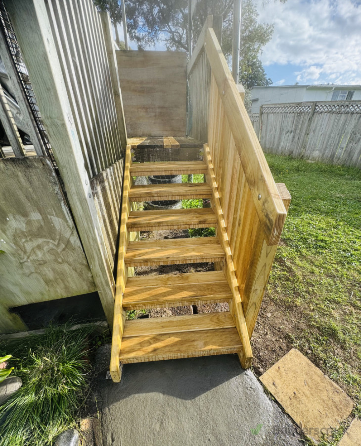 Back door stairs