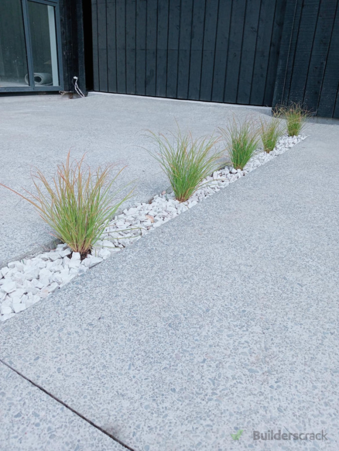 Native plant installation