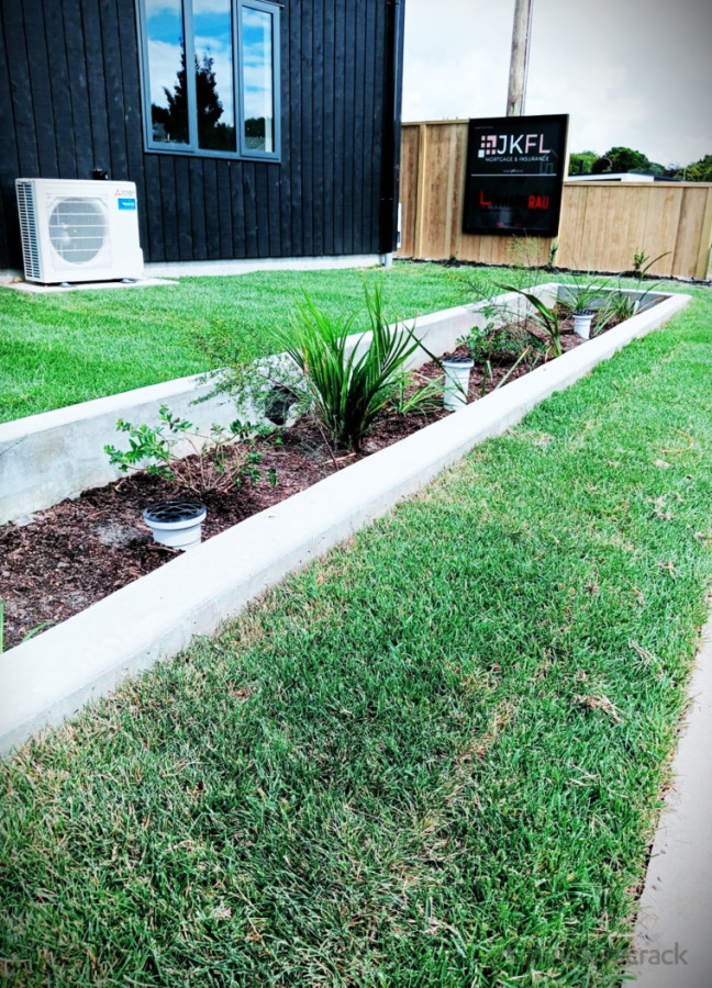 Rain garden planting