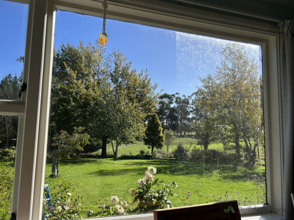 Homestead Half Window Clean