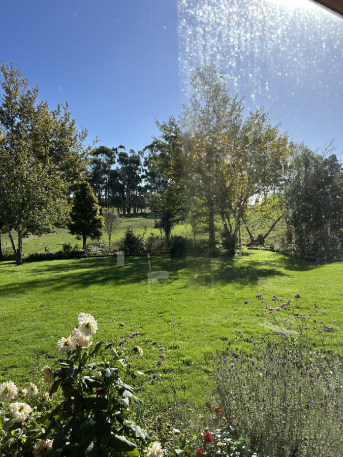 Homestead Half Window Clean - Close Up