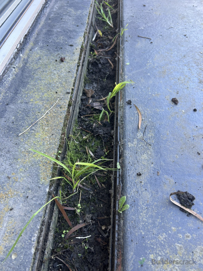 Ground Gutter Before