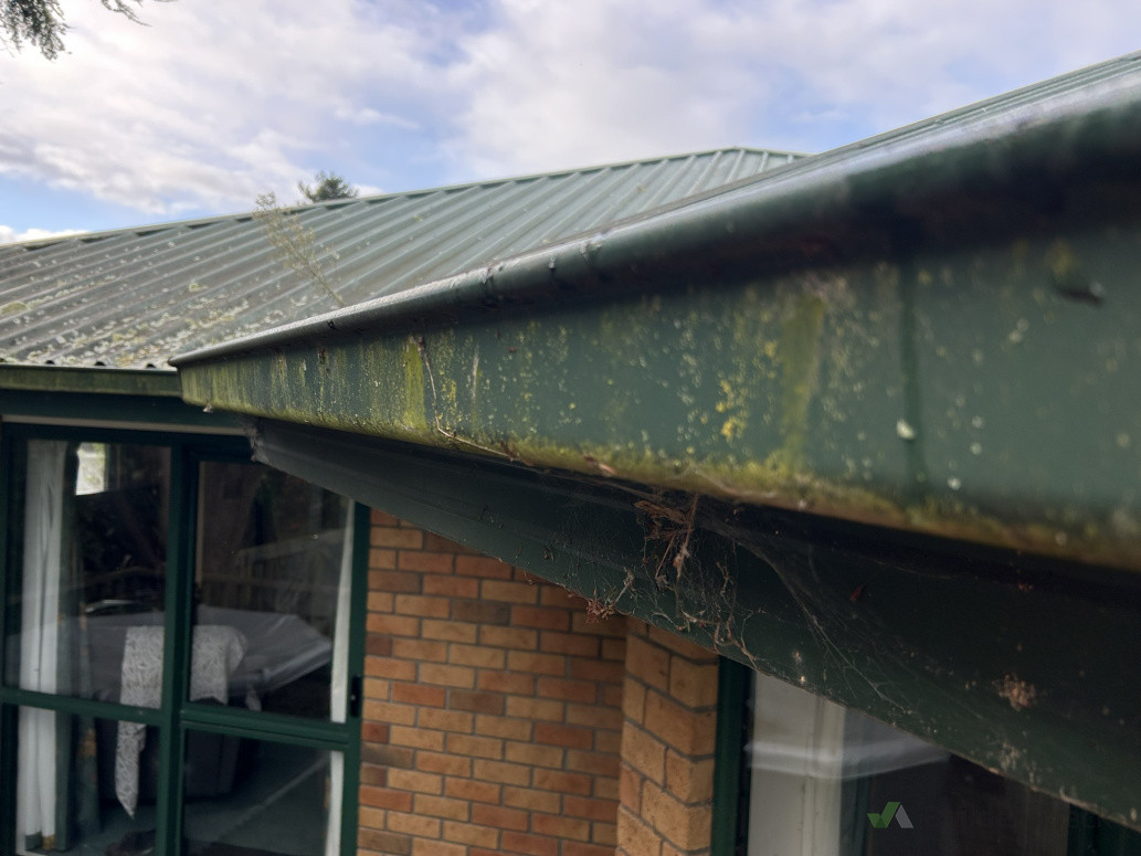 External Gutter Before