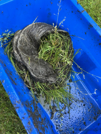 Removed Internal Gutter Debris