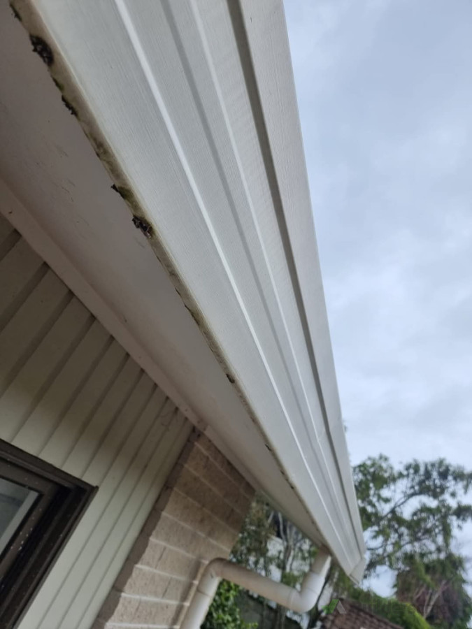 Problematic internal system