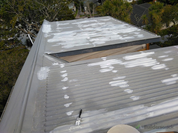Roof Nails removed. Roofing Screws Added. Waterproofing Membrane used to repair. Project colour matched and painted.