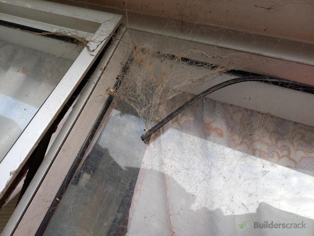 before rubber gasket in windows