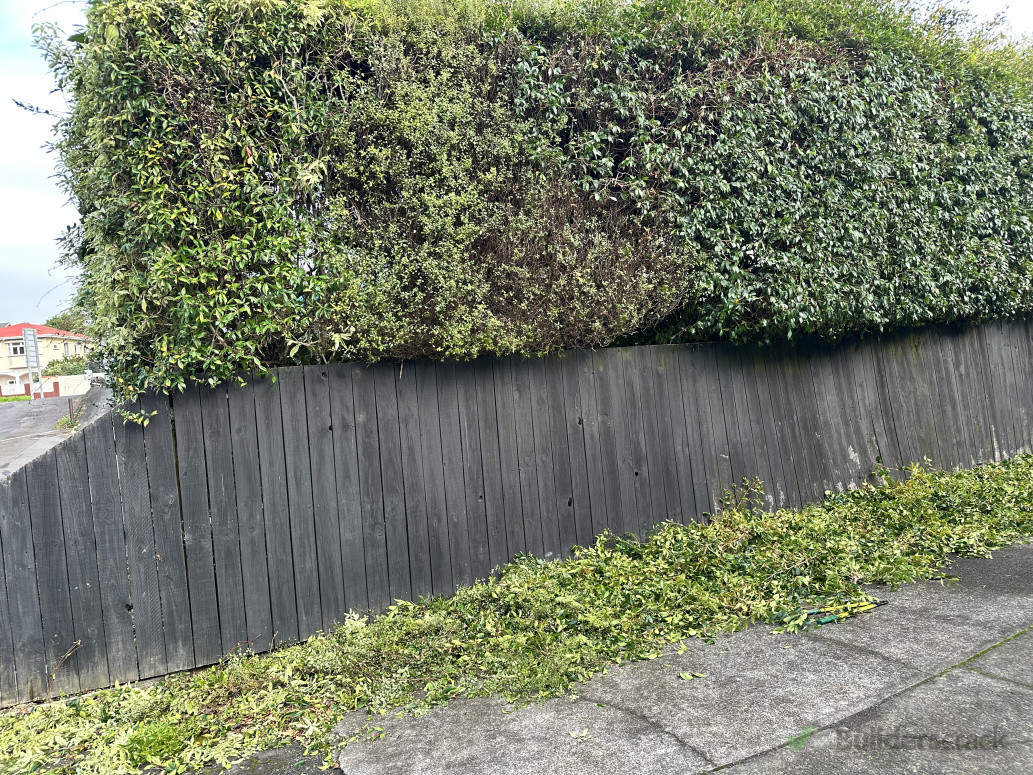 Trimming Hedges