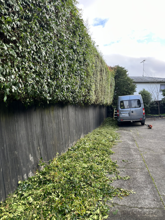 Trimming Hedges