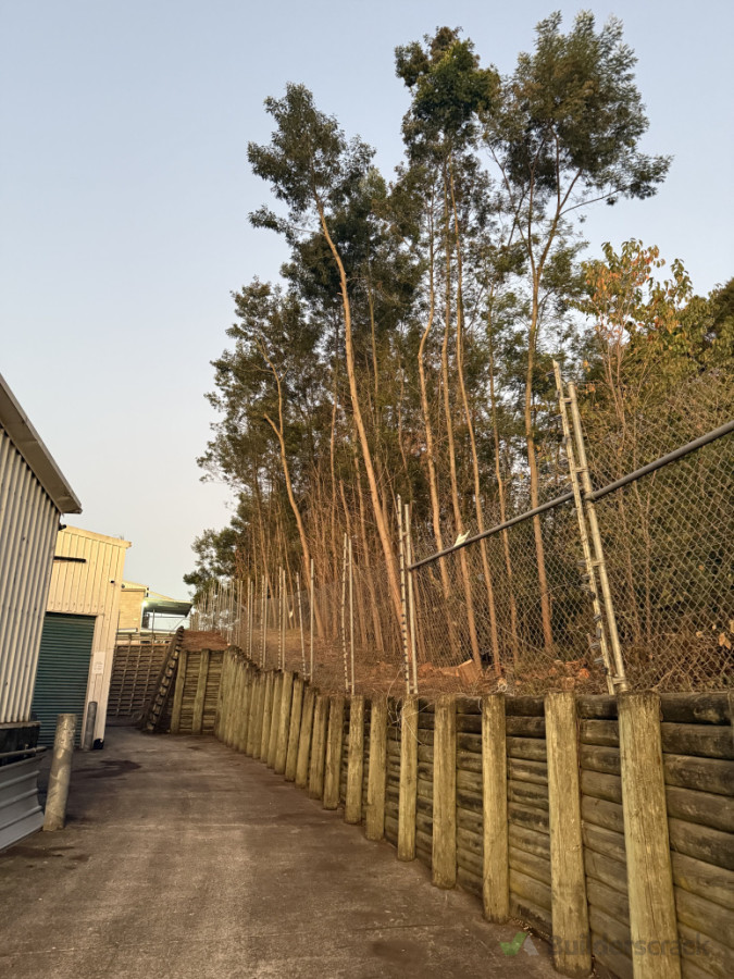 After shot you can see how we have cleared all the green off the fence and retaining wall, trimming the tress back, and removing all the rubbish from the ground