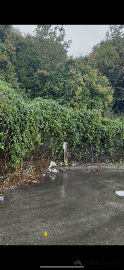 This was the fence before we got started