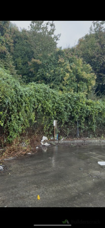 This was the fence before we got started