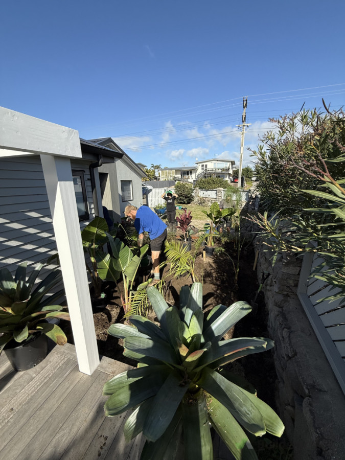 Planting in progress