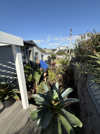 Planting in progress