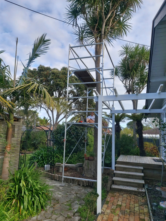 Tree removal, deck, pergola, brick walkway, landscape