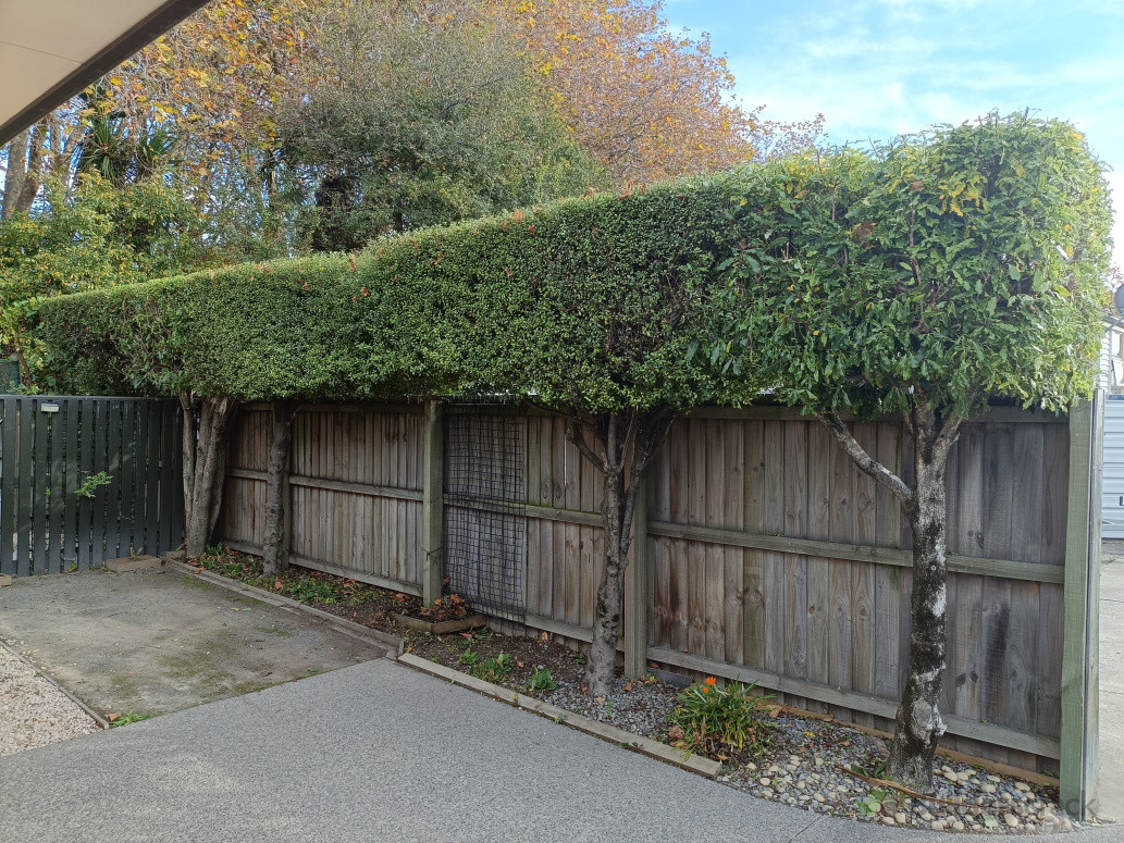 Precision straight line hedge trimming