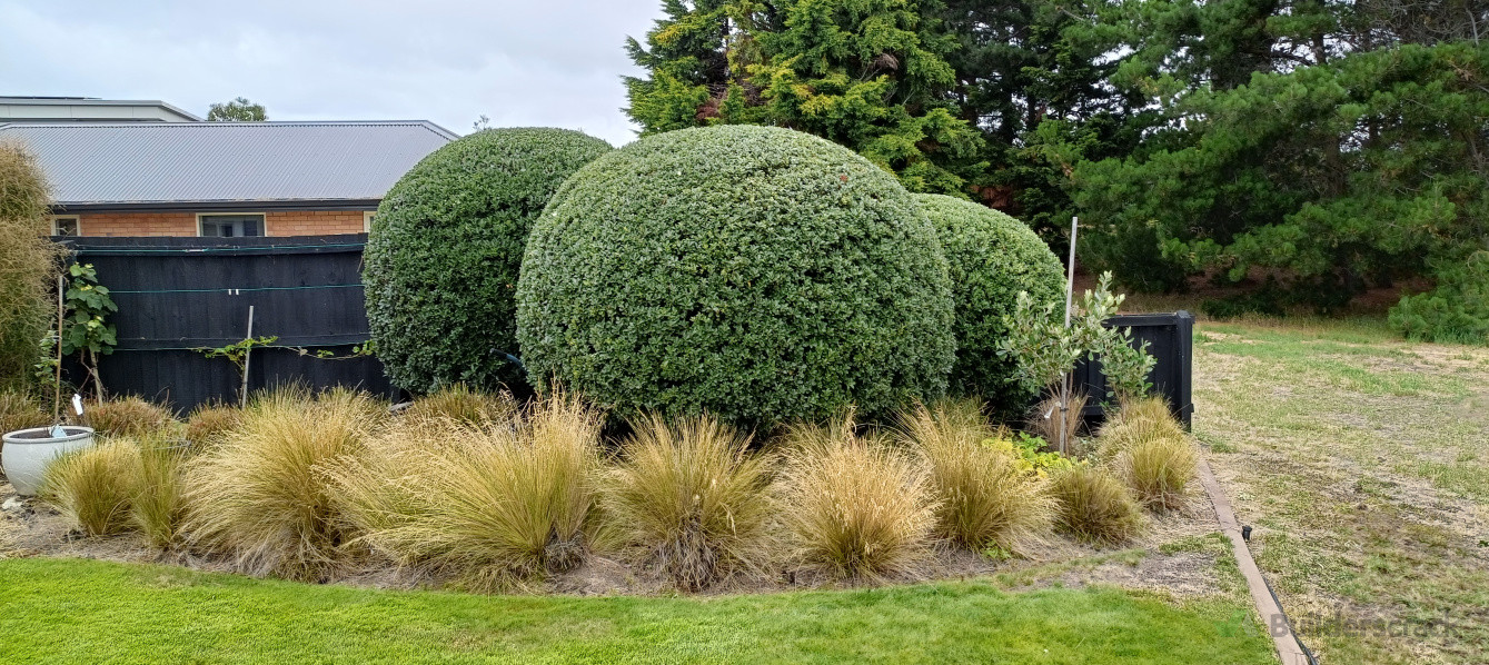 Perfection of round trimming