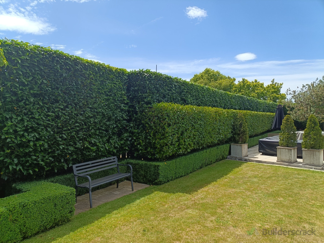 Complexity made simple