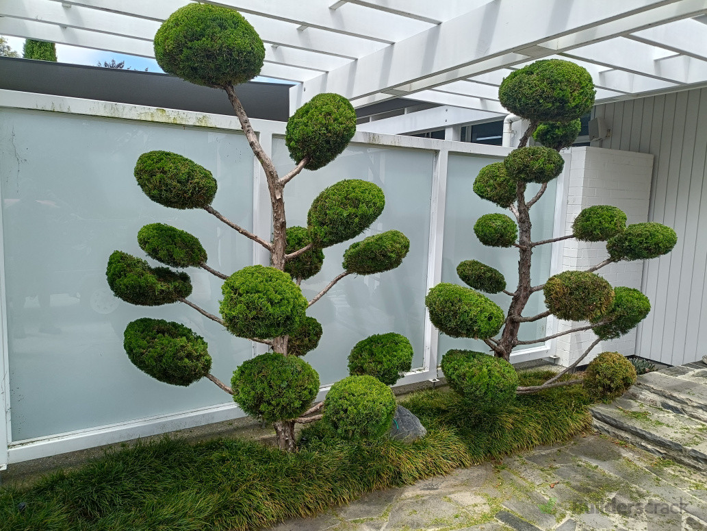 Have something unique and one of a kind