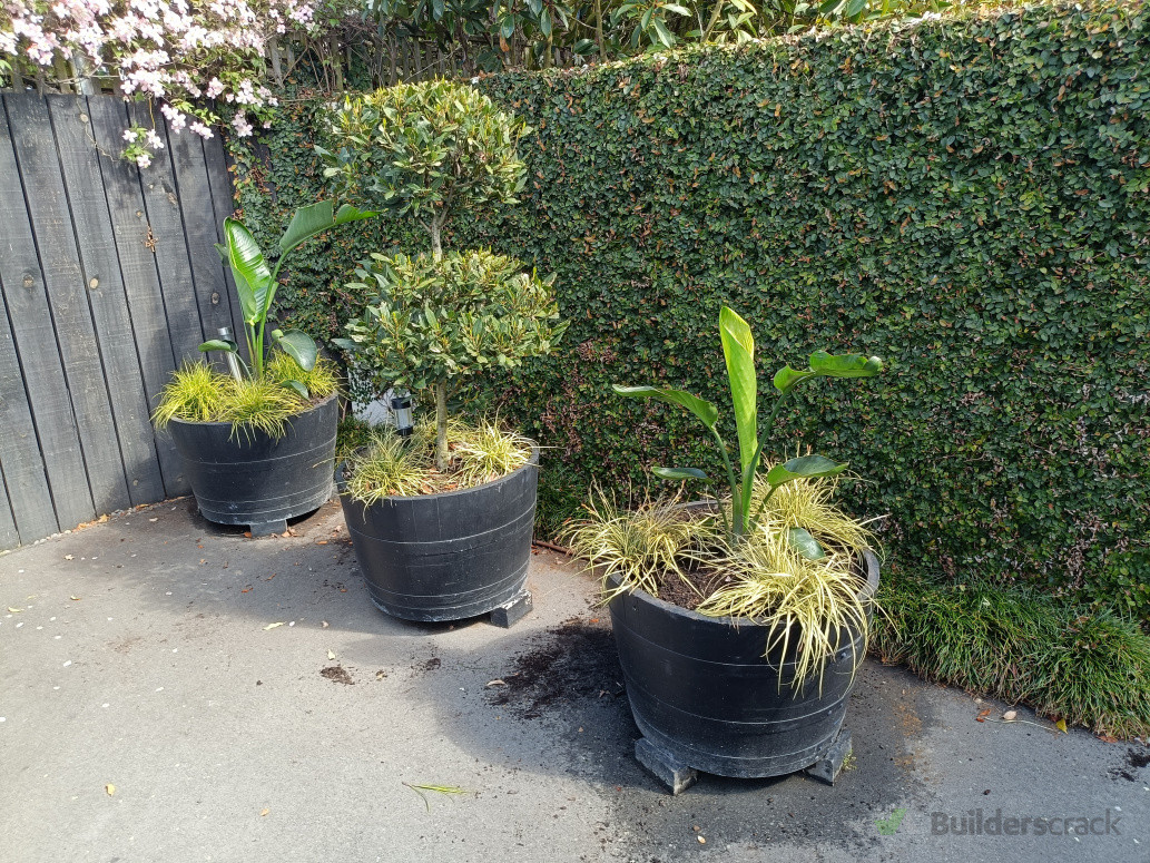 Planting with textures, shapes and colors