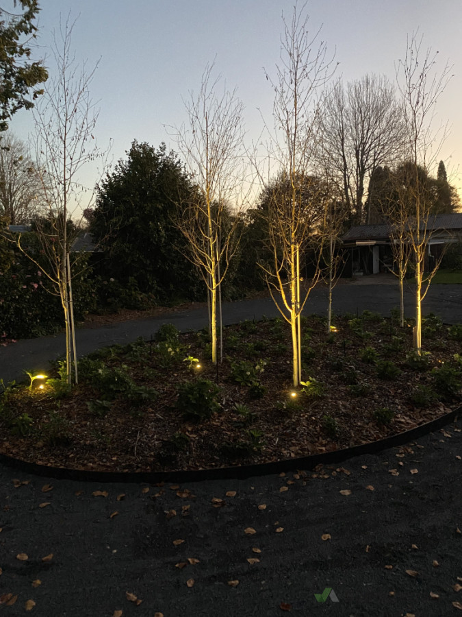 Garden lighting to light up individual trees on driveway roundabout. Install on day light sensor