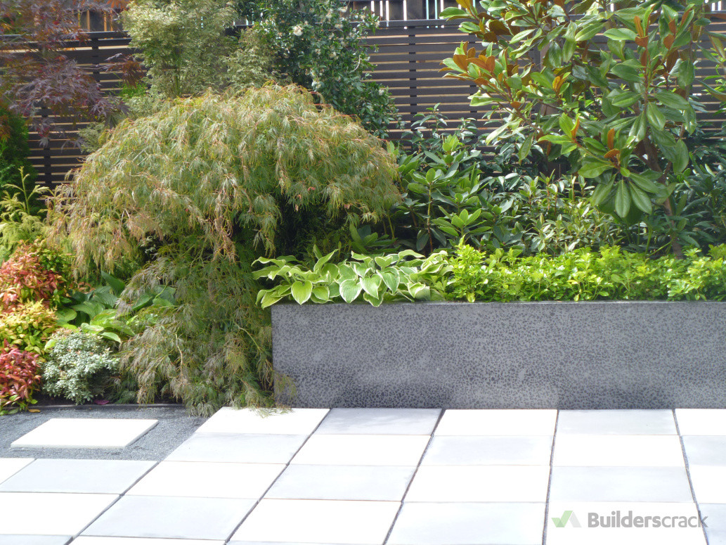 Trees and shrubs