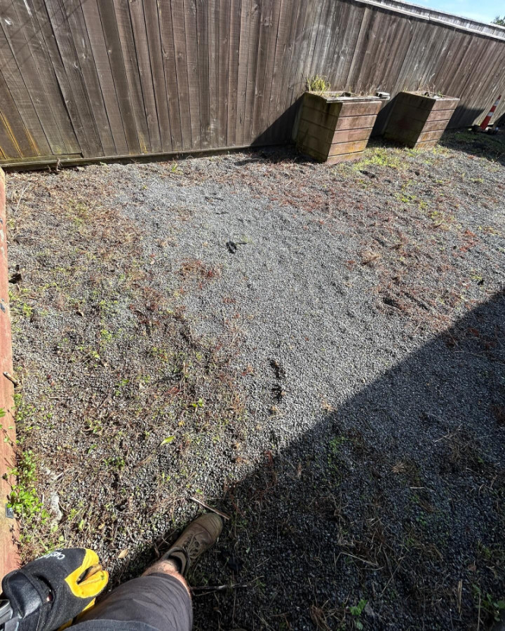 Weeds taking over the gravel