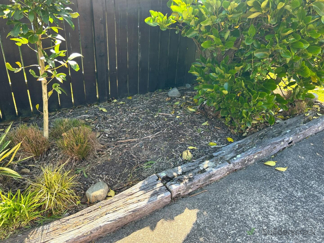 Old bark full of weeds and leaves.