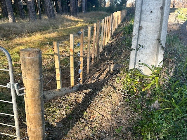 Farm & Lifestyle fencing done right