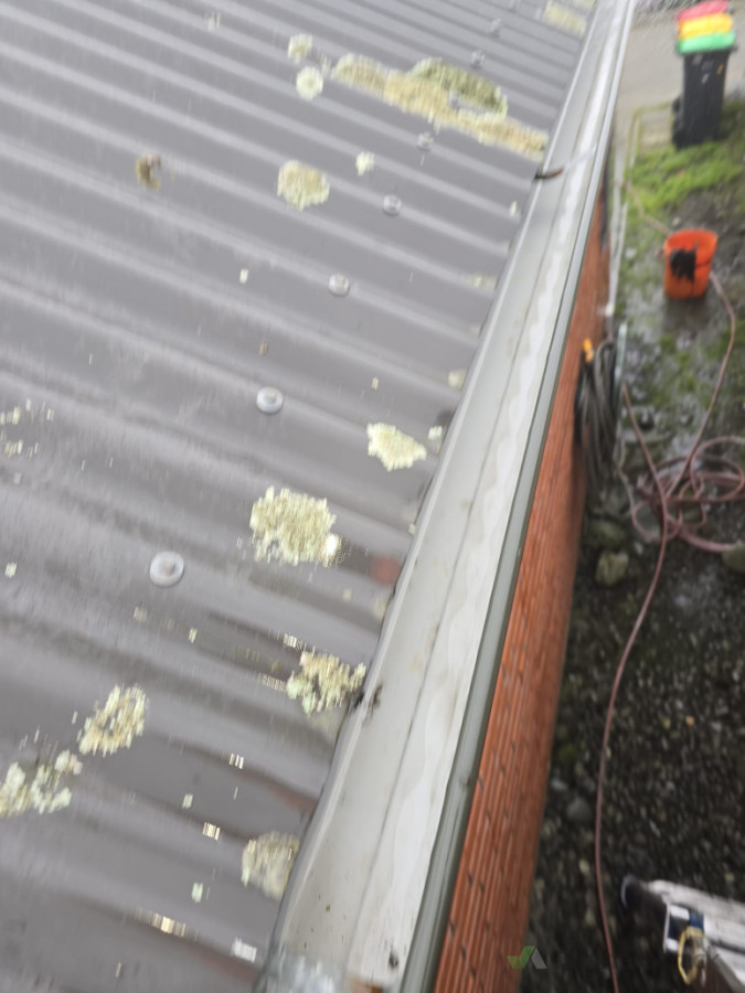 Gutter-Cleaning