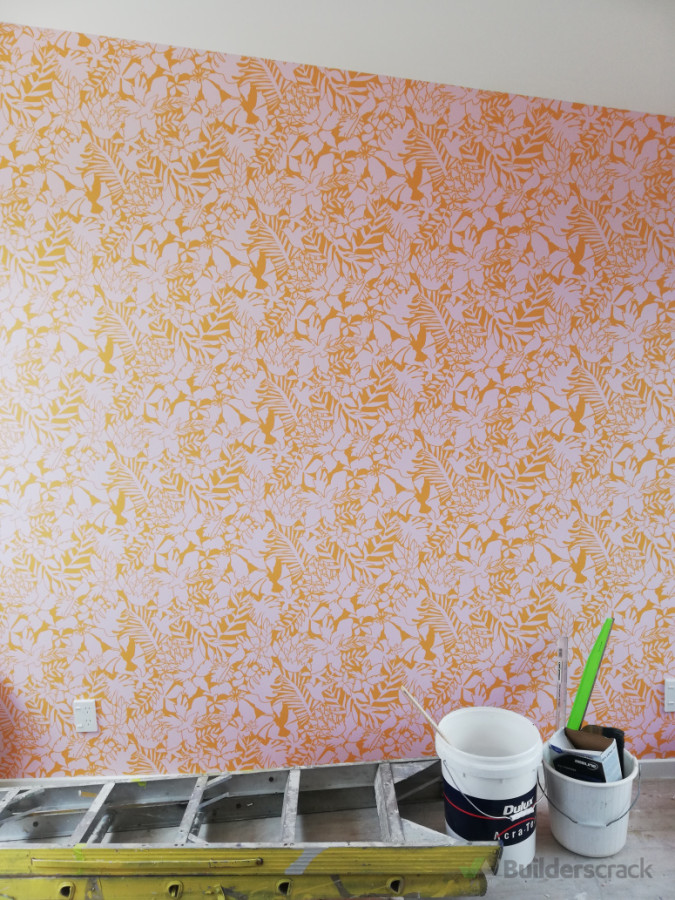 Feature wall in house in nelson