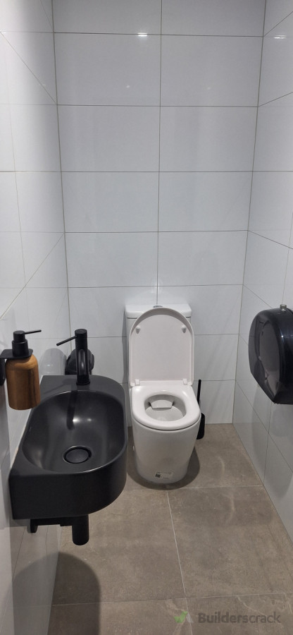 Toilet Clean