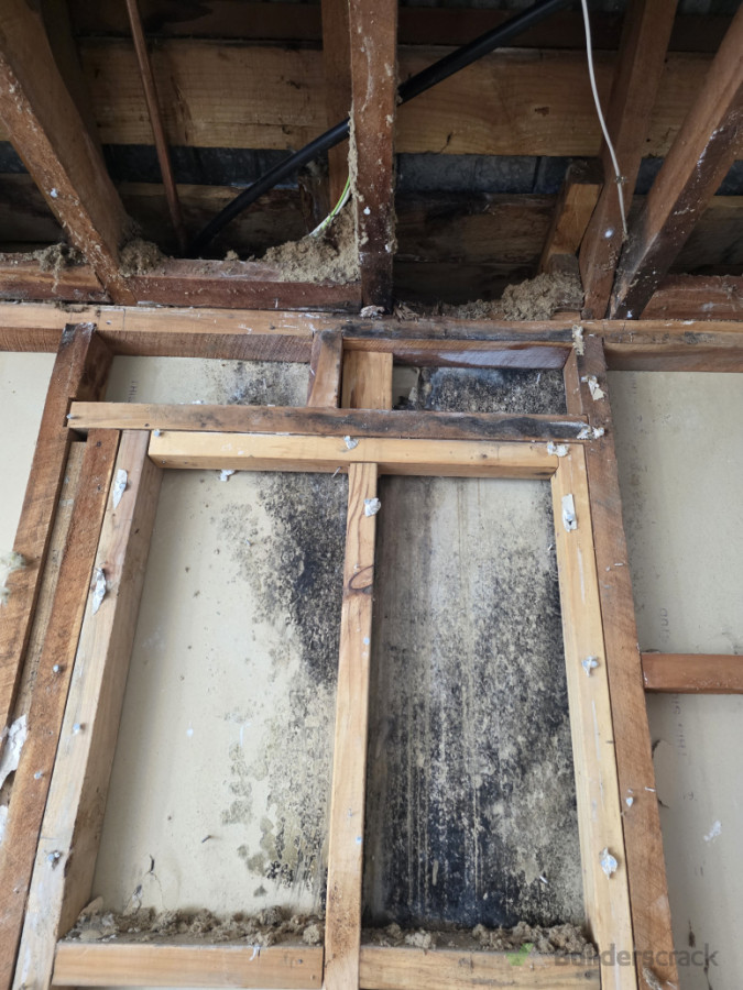 Mould remediation