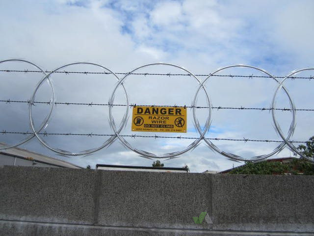 450mm diametre Long barb razor wire