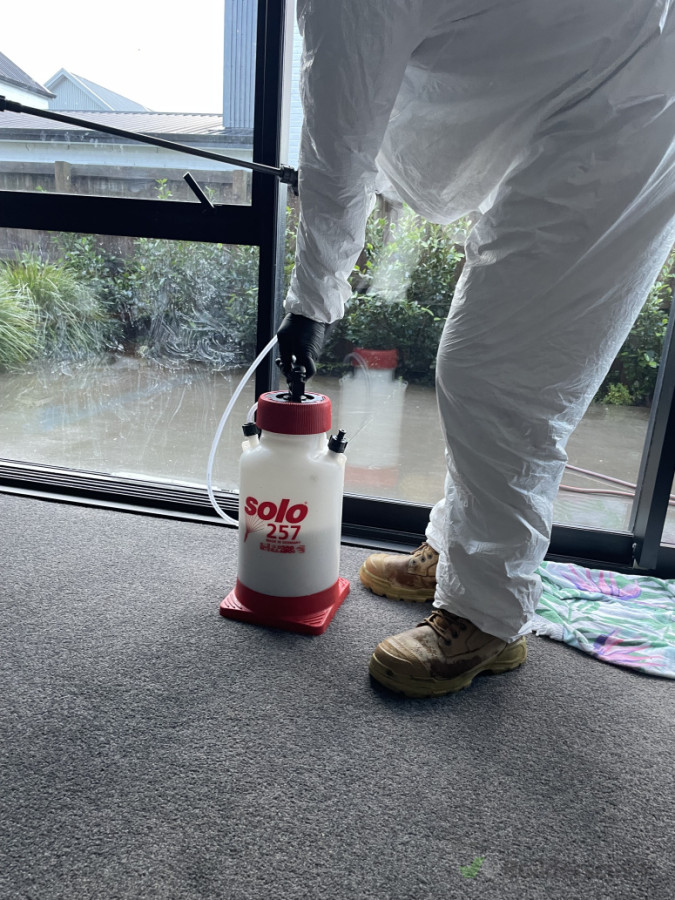 #Aucklandpestsolutions