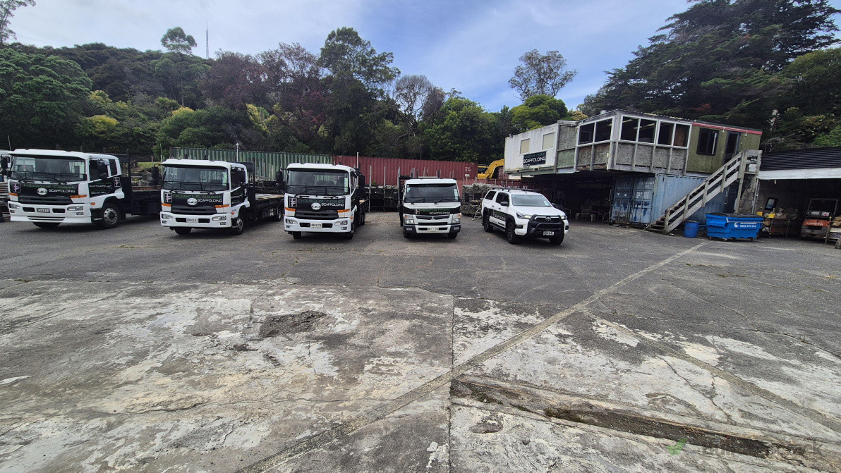 Our yard Poplar Lane, Stanmore Bay