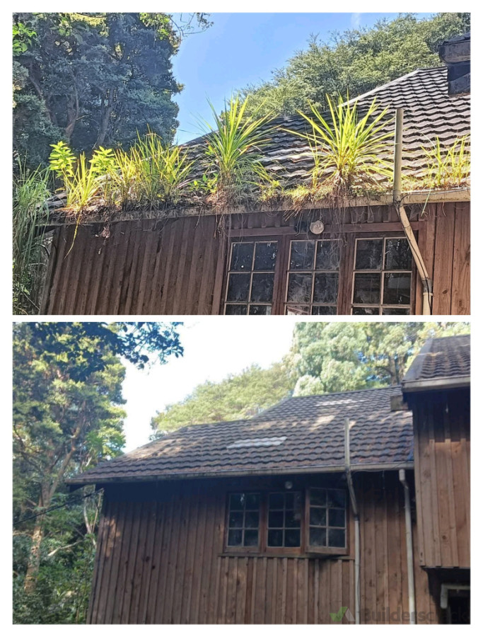 2 Story gutter clean deep in the bush.  Brackets were cut and replaced to aid in the removal of the small trees