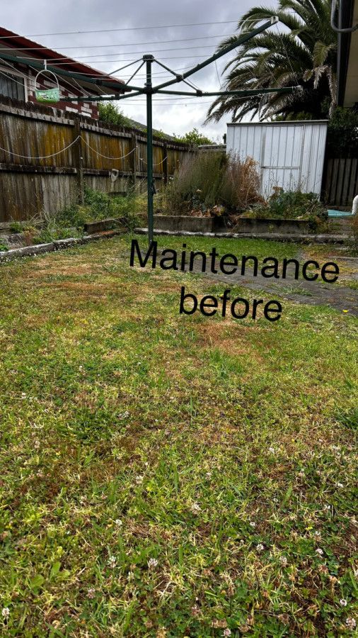 Vege/garden bed tidy Maintence. before.