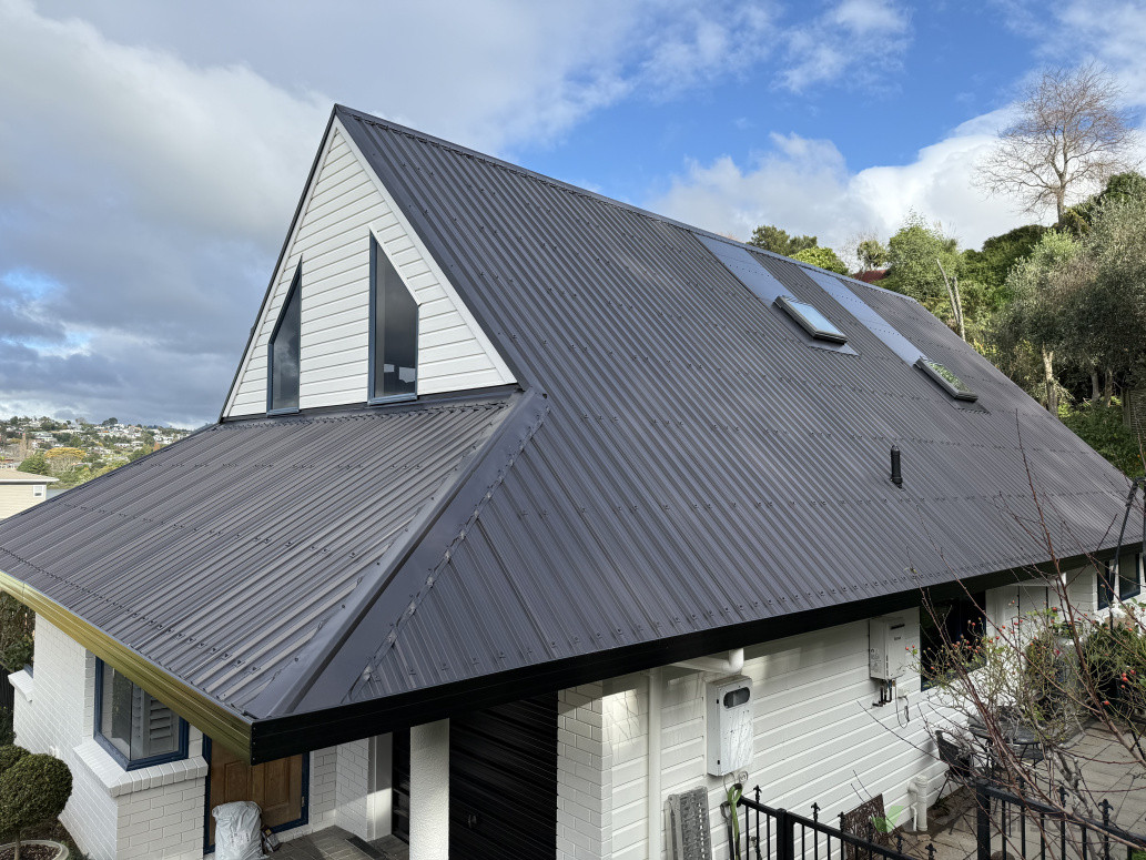 New Skylights, Gutters & Roof Paint