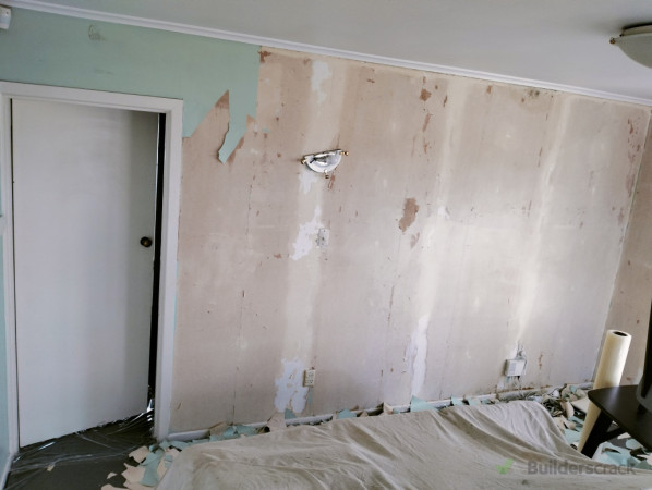 Before plaster and painting