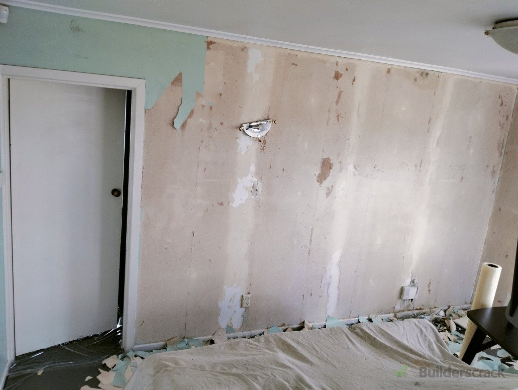 Before plaster and painting