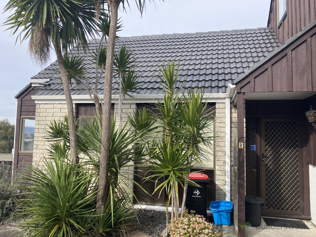 Cabbage trees that needs to be removed and steel spouting