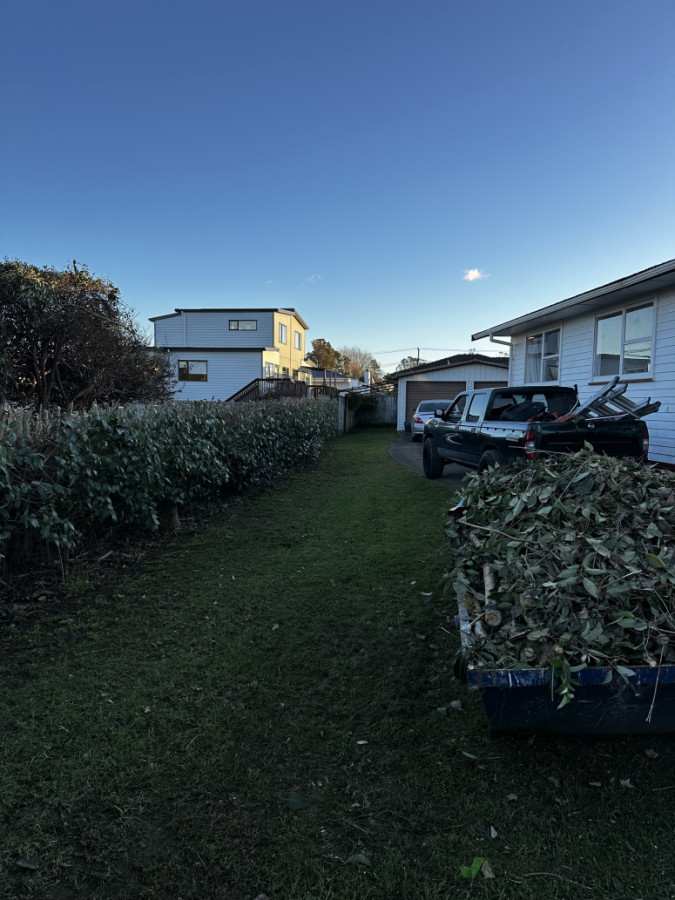 Hedge trimming jobs