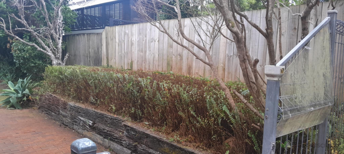 Hedge trimming and tidy up