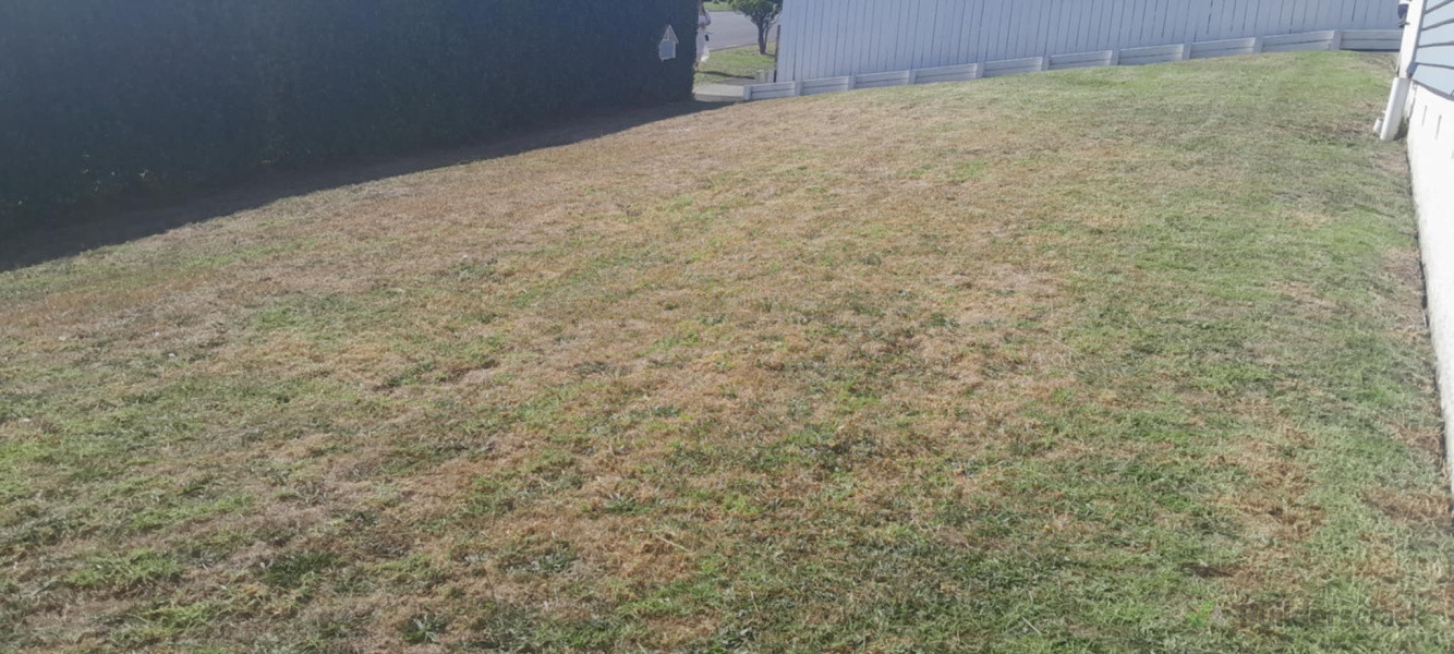 Lawn mowing and edge care