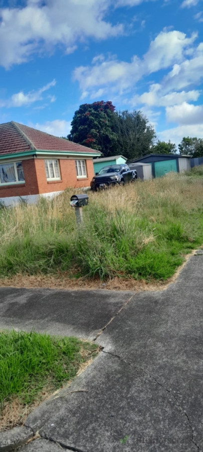 Over grown lawn 1# - Before